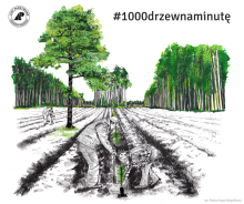1000 drzew na minutę