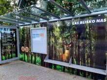 Leśne przystanki autobusowe na - Światowy Dzień Drzewa