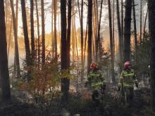 Rusza akcja bezpośrednia ochrony Przeciwpożarowej lasów!!!