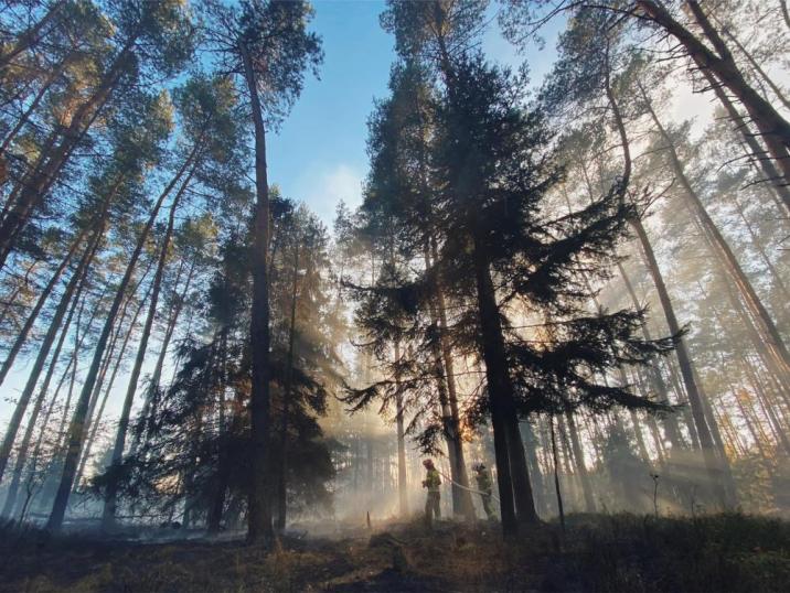 Fot. Jakub Wencek - Obrazy Lasu