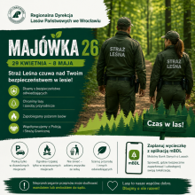 Strażnicy leśni zadbają o bezpieczeństwo podczas majówki